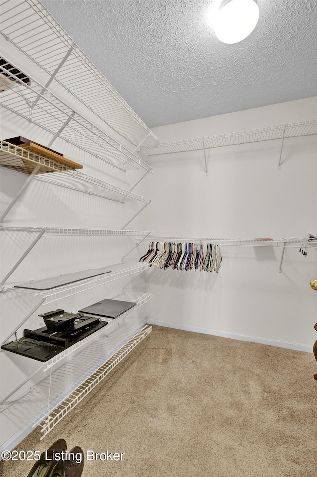 walk in closet featuring carpet