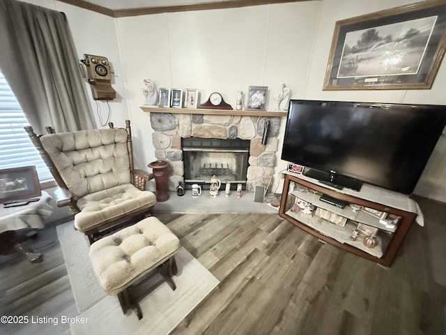 living room with a stone fireplace and wood finished floors