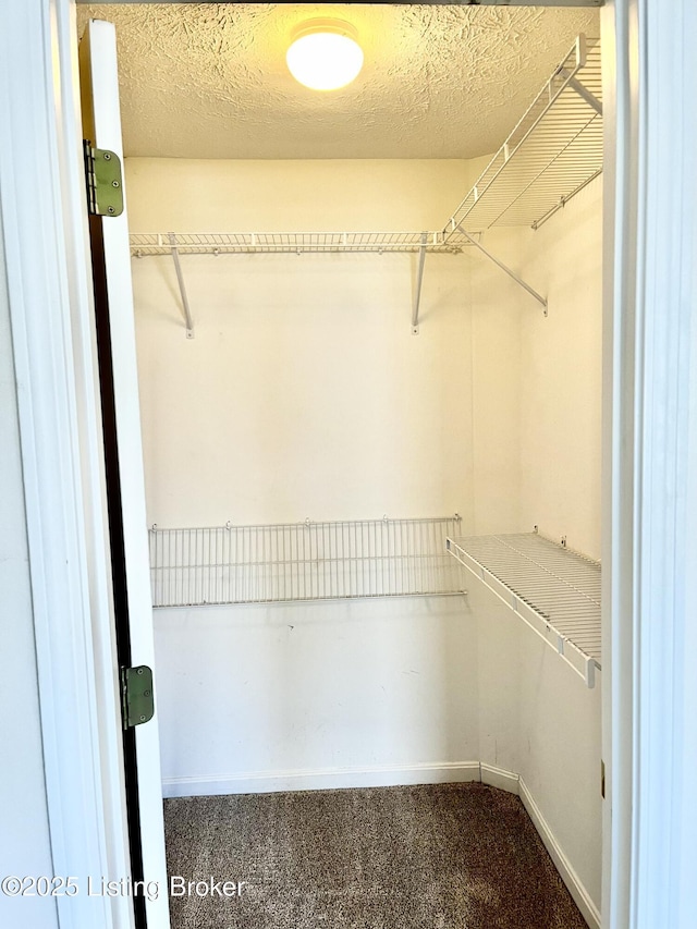 spacious closet with carpet