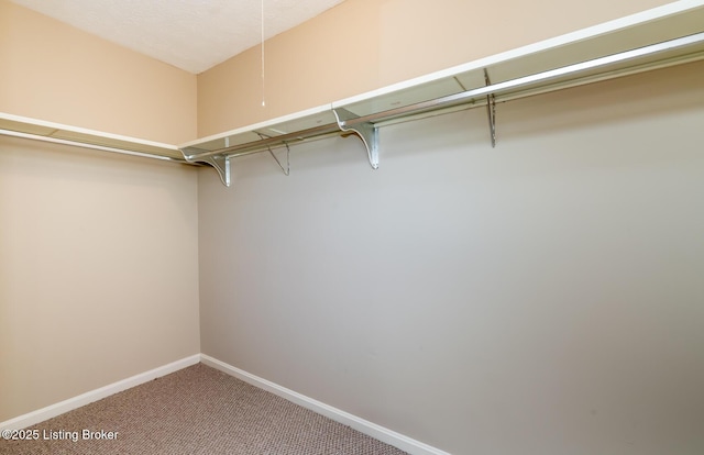 walk in closet with carpet