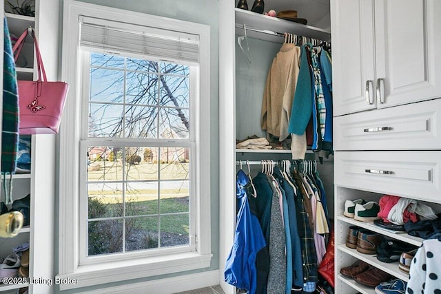 view of walk in closet