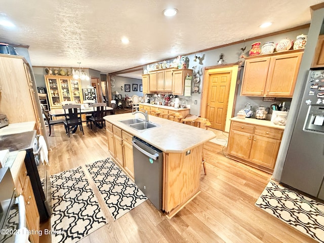 kitchen featuring a sink, light wood-style floors, and stainless steel appliances