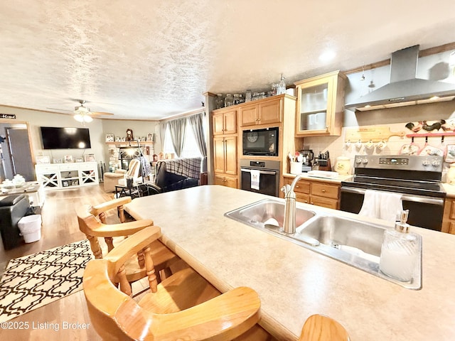 kitchen with wood finished floors, a sink, glass insert cabinets, appliances with stainless steel finishes, and wall chimney range hood