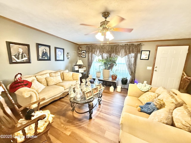 living area with crown molding, a ceiling fan, light wood finished floors, and a textured ceiling