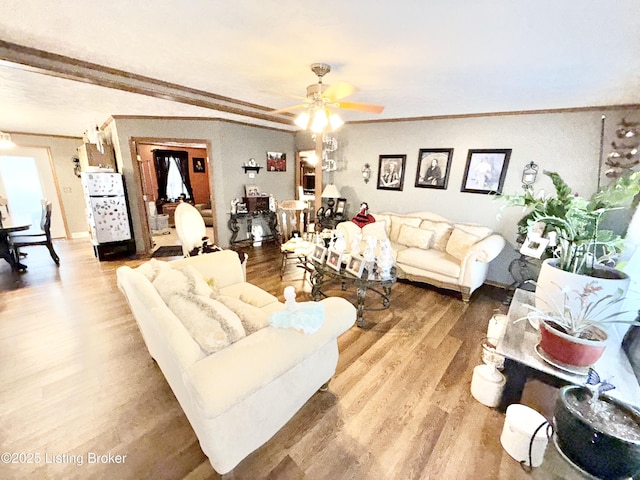 living area featuring a ceiling fan, crown molding, and light wood finished floors