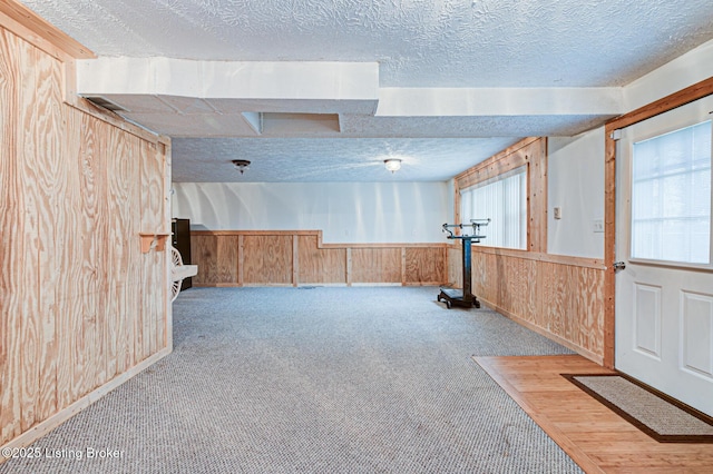 1670 Pine Creek Trl, Shepherdsville, KY 40165 - below grade area with wainscoting, a textured ceiling, carpet, and wood walls
