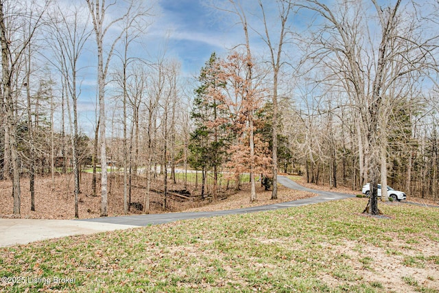 1670 Pine Creek Trl, Shepherdsville, KY 40165 - view of yard with driveway