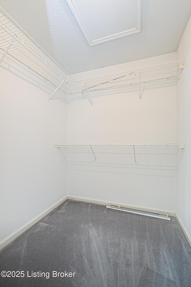 1670 Pine Creek Trl, Shepherdsville, KY 40165 - spacious closet featuring carpet flooring