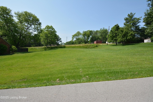 000 Locust Ln, Bedford, KY 40006