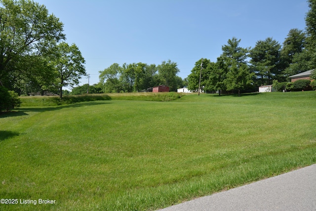 000 Locust Ln, Bedford, KY 40006