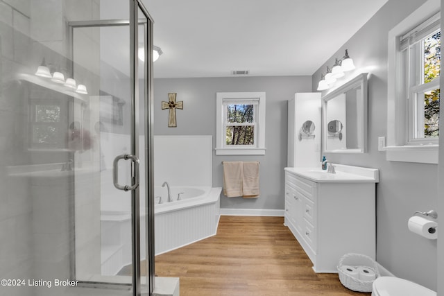 bathroom with visible vents, a healthy amount of sunlight, a stall shower, and vanity