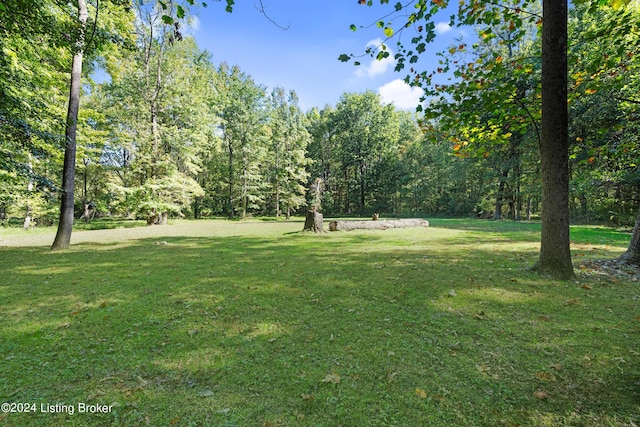 view of yard featuring a wooded view