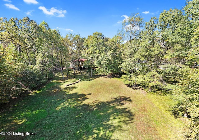 view of yard featuring a forest view