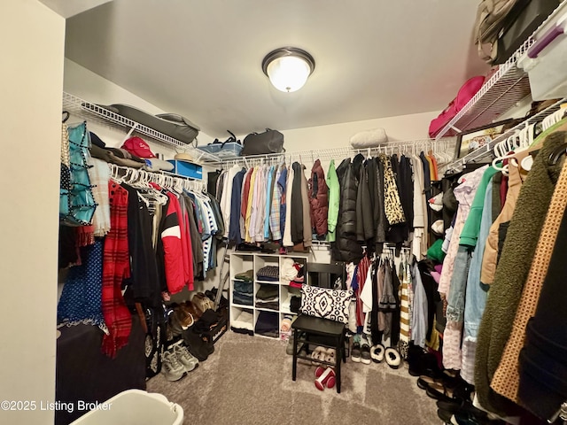 spacious closet with carpet