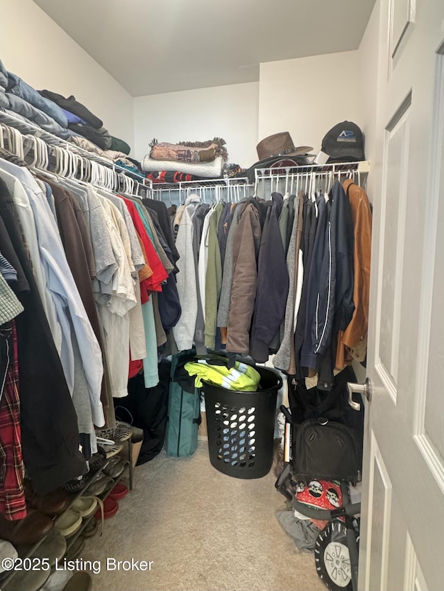 spacious closet featuring carpet floors