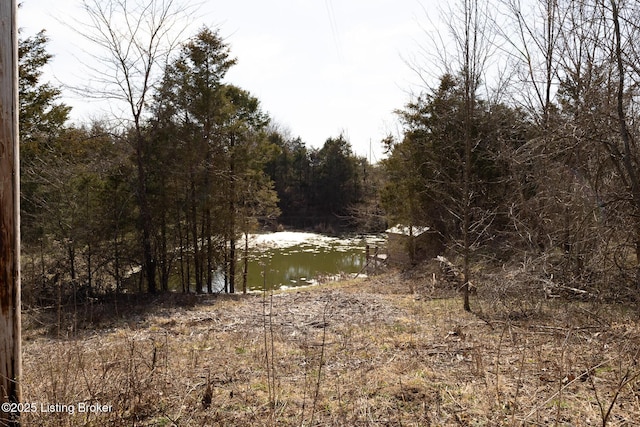 view of local wilderness with a wooded view and a water view