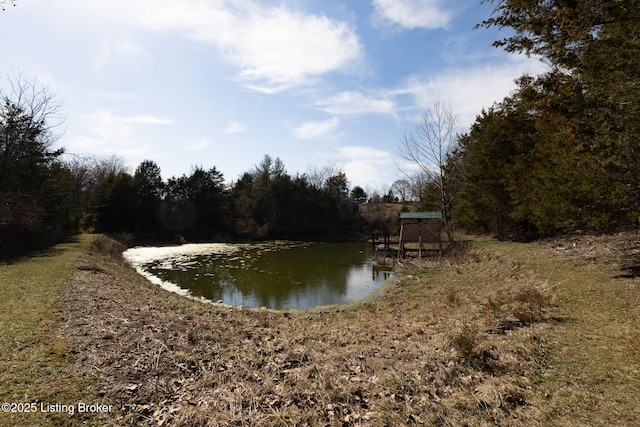 view of water feature with a wooded view