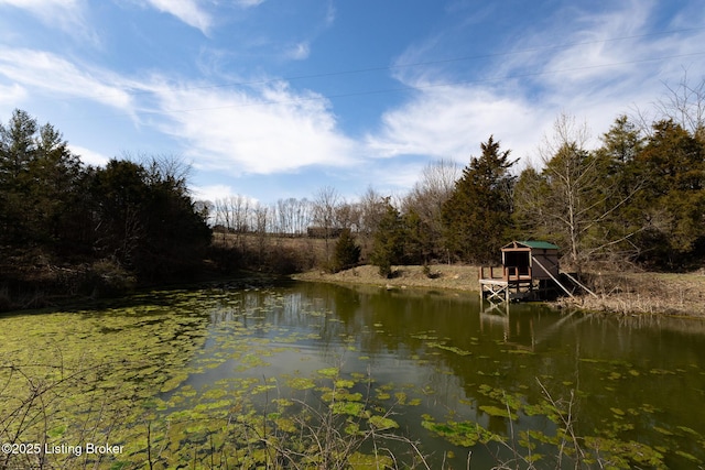 property view of water