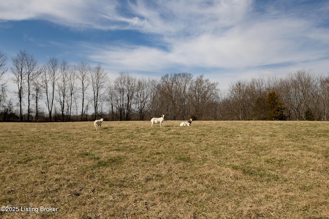 view of yard with a rural view