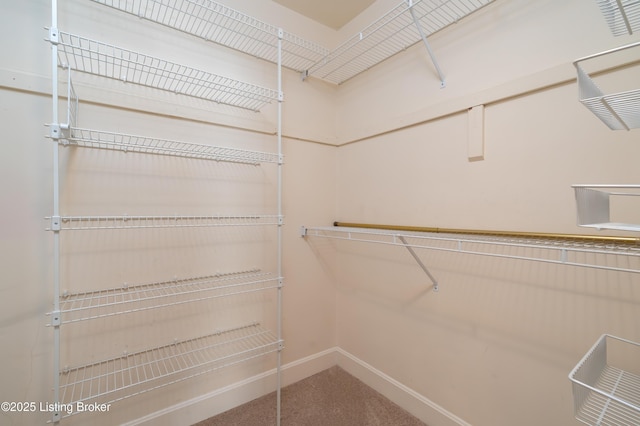 5800 Coach Gate Wynde Unit 295B, Louisville, KY 40207 - spacious closet with carpet floors