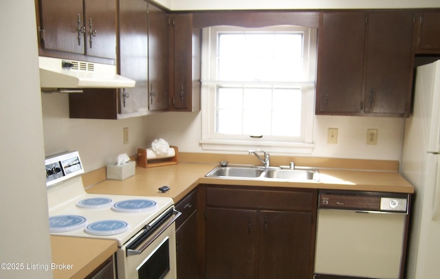 kitchen featuring dark brown cabinets, under cabinet range hood, light countertops, white appliances, and a sink