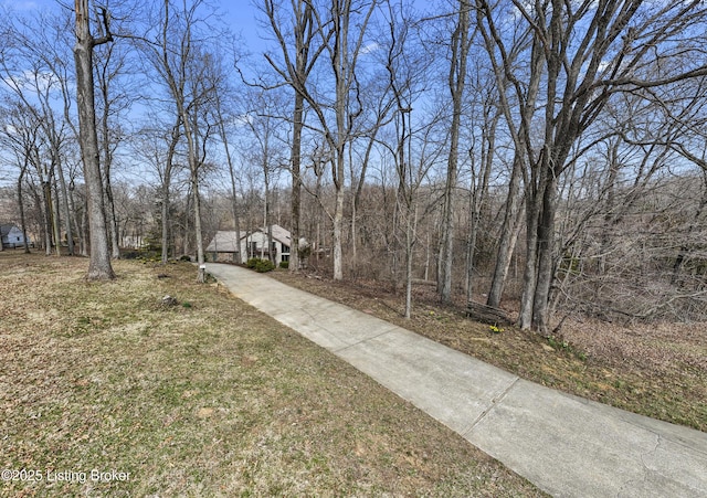 view of yard with driveway