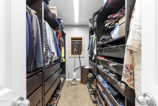 spacious closet with carpet floors