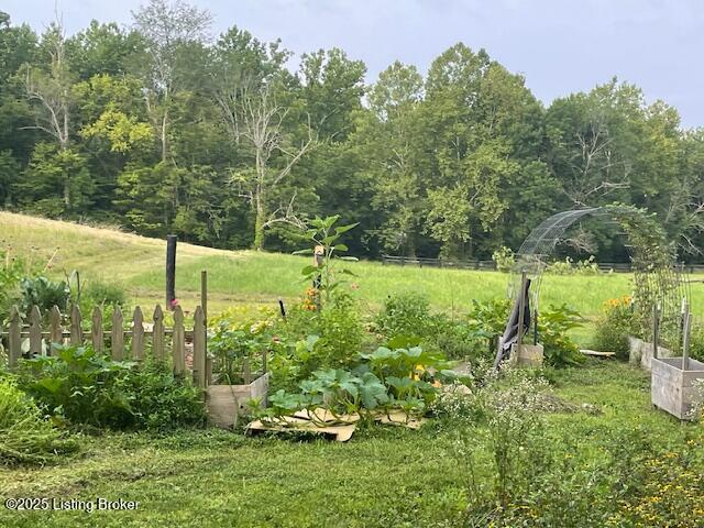 view of yard with a garden