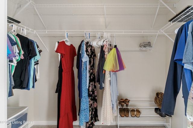 view of spacious closet