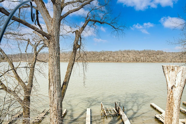 view of dock featuring a water view