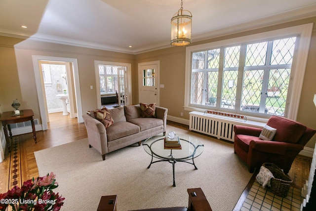 living area with baseboards, radiator, wood finished floors, and crown molding