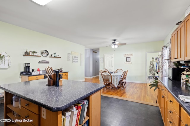 1380 Rice Rd, Lawrenceburg, KY 40342 - kitchen with dark countertops, baseboards, ceiling fan, and open shelves