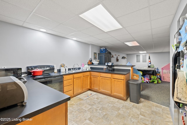 1380 Rice Rd, Lawrenceburg, KY 40342 - kitchen with a peninsula, a drop ceiling, a sink, black appliances, and dark countertops