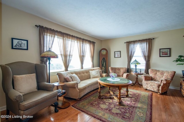 living area featuring wood finished floors, baseboards, and a textured ceiling