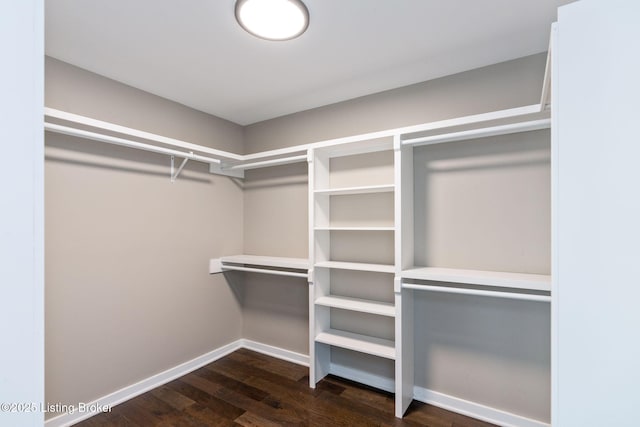 walk in closet with dark wood-type flooring