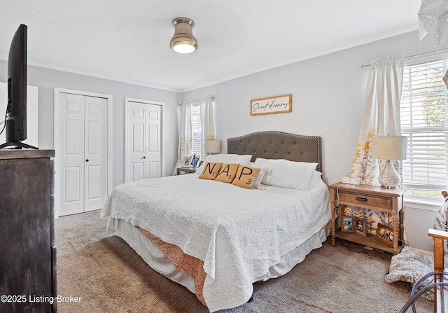 bedroom with multiple windows, crown molding, carpet, and multiple closets