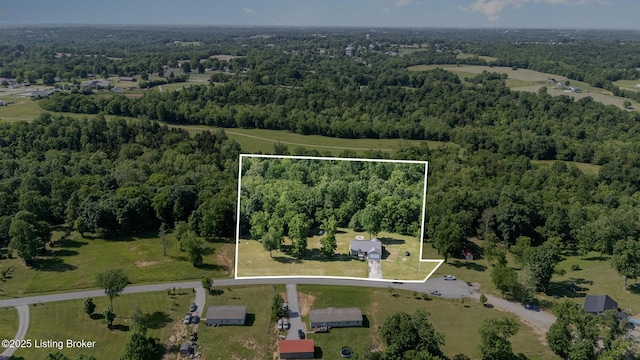 404 Persell Rd, Bedford, KY 40006 - aerial view of property and surrounding area featuring a forest and property parcel outlined