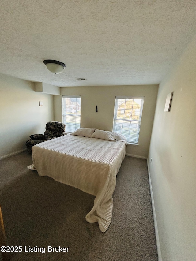 105-A Legacy Ct, Elizabethtown, KY 42701 - carpeted bedroom featuring visible vents, multiple windows, a textured ceiling, and baseboards