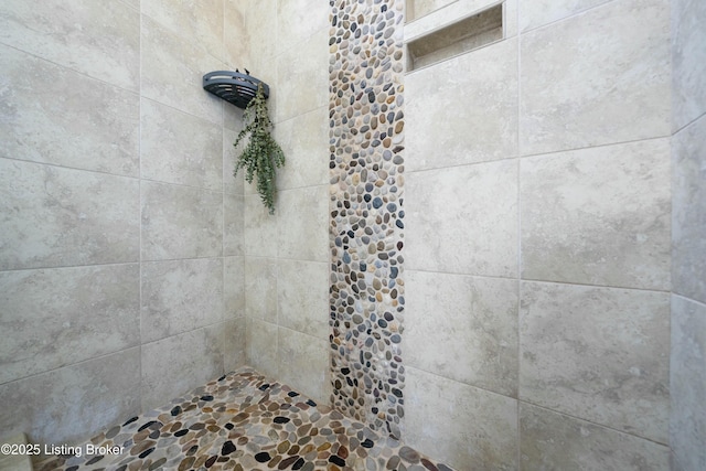 interior details featuring a tile shower