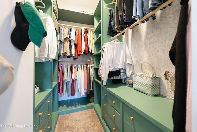 view of walk in closet