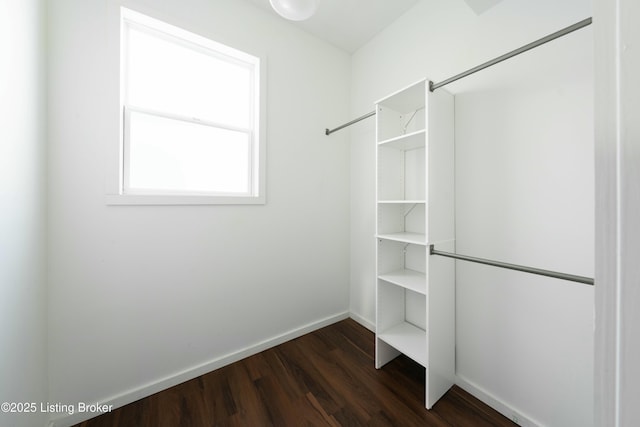 spacious closet featuring dark wood finished floors