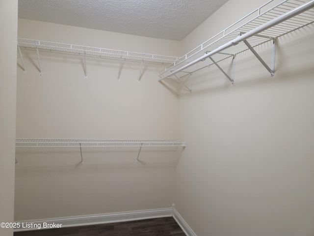 spacious closet with dark wood-type flooring