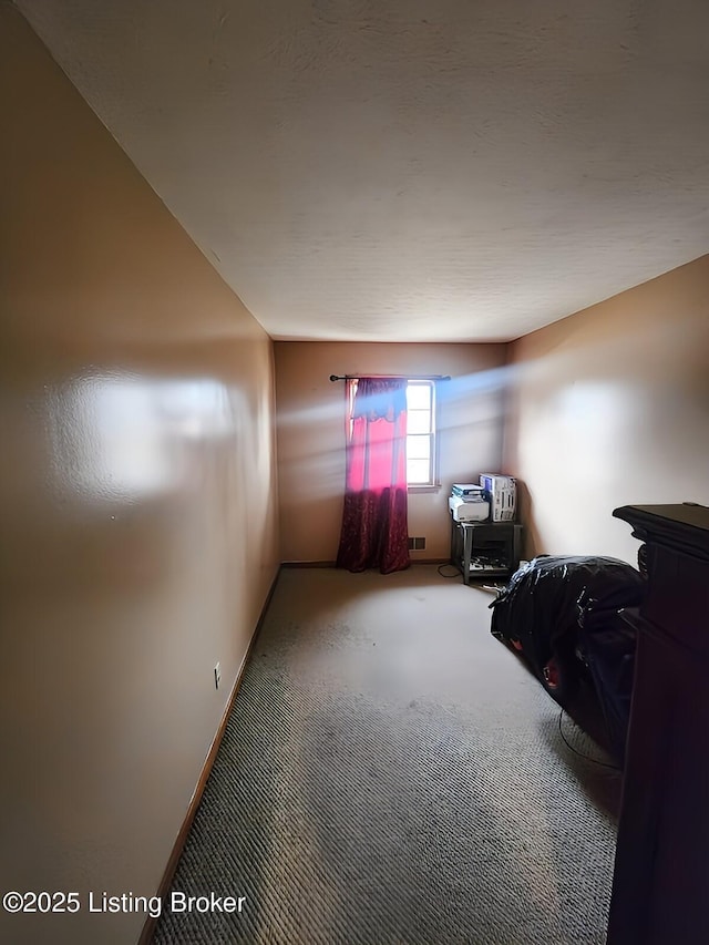 interior space featuring carpet floors