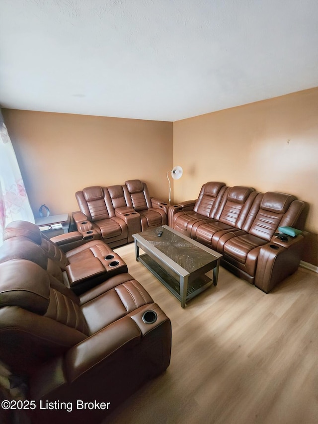 living room featuring wood finished floors