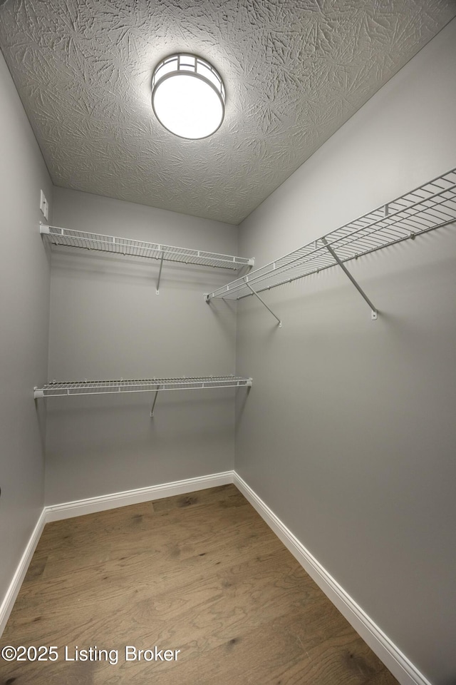 spacious closet featuring wood finished floors