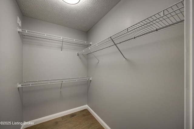 spacious closet featuring wood finished floors