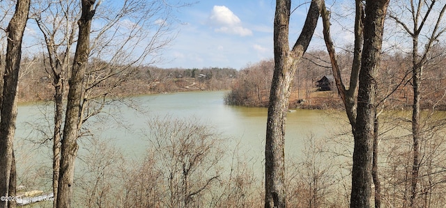 property view of water featuring a forest view