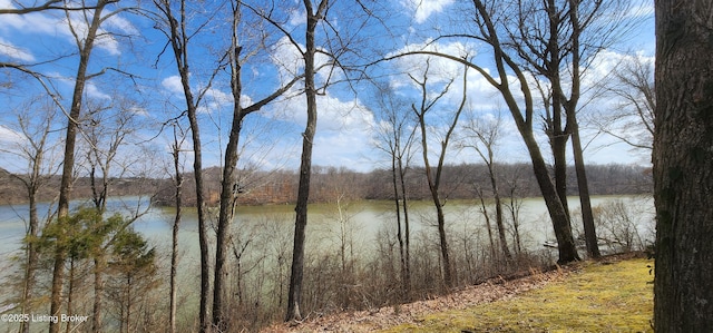 property view of water