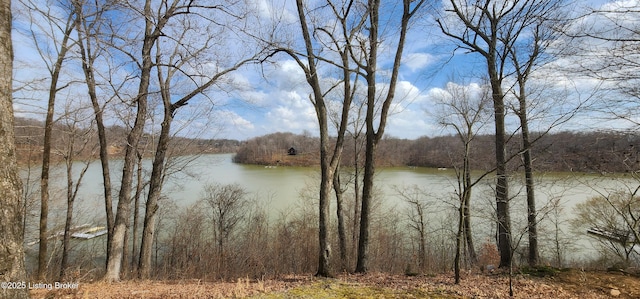 water view with a forest view