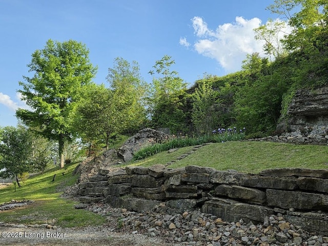 260 Patriots Path Ln, Falls Of Rough, KY 40119 - view of green lawn